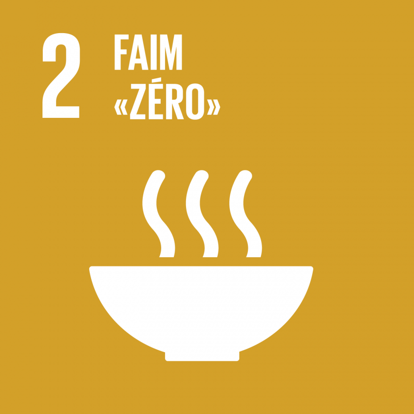 ODD 2 — Faim « zéro »