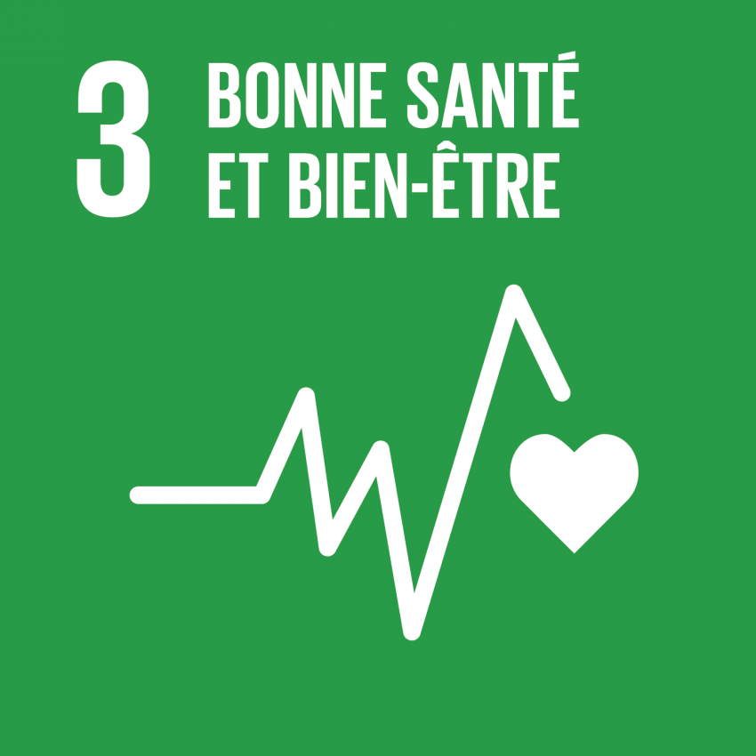 ODD 3 — Bonne santé et bien-être
