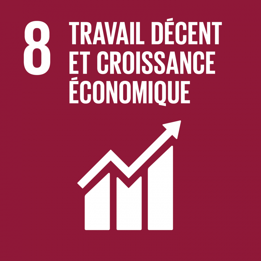 ODD 8 — Travail décent et croissance économique