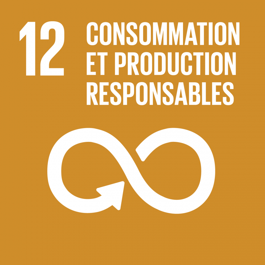 ODD 12 — Consommation et production responsables