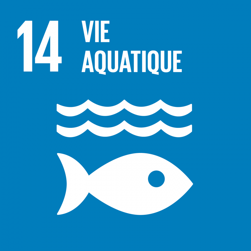 ODD 14 — Vie aquatique