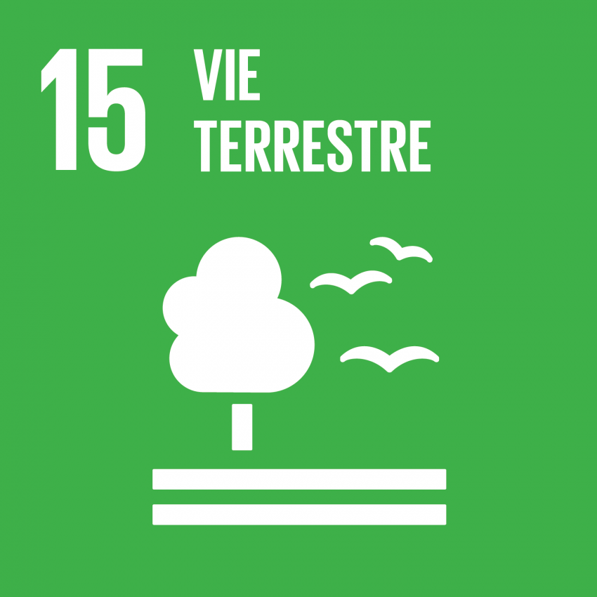 ODD 15 — Vie terrestre