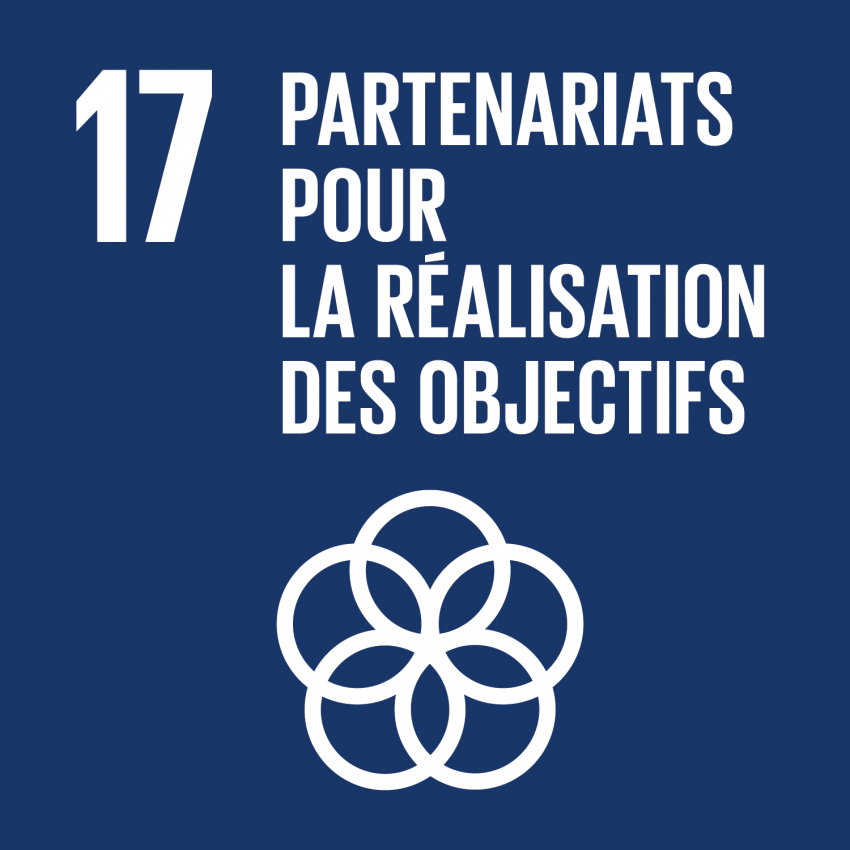 ODD 17 — Partenariats pour la réalisation des objectifs